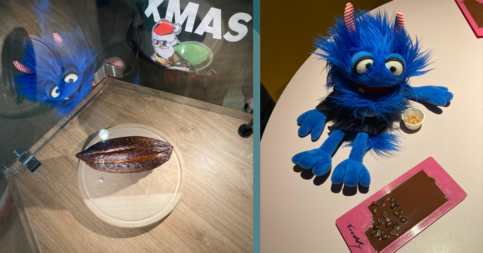 Fridolin im Schokoversum