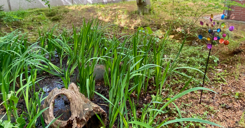 Die Maskottchen an der Weitsprunganlage